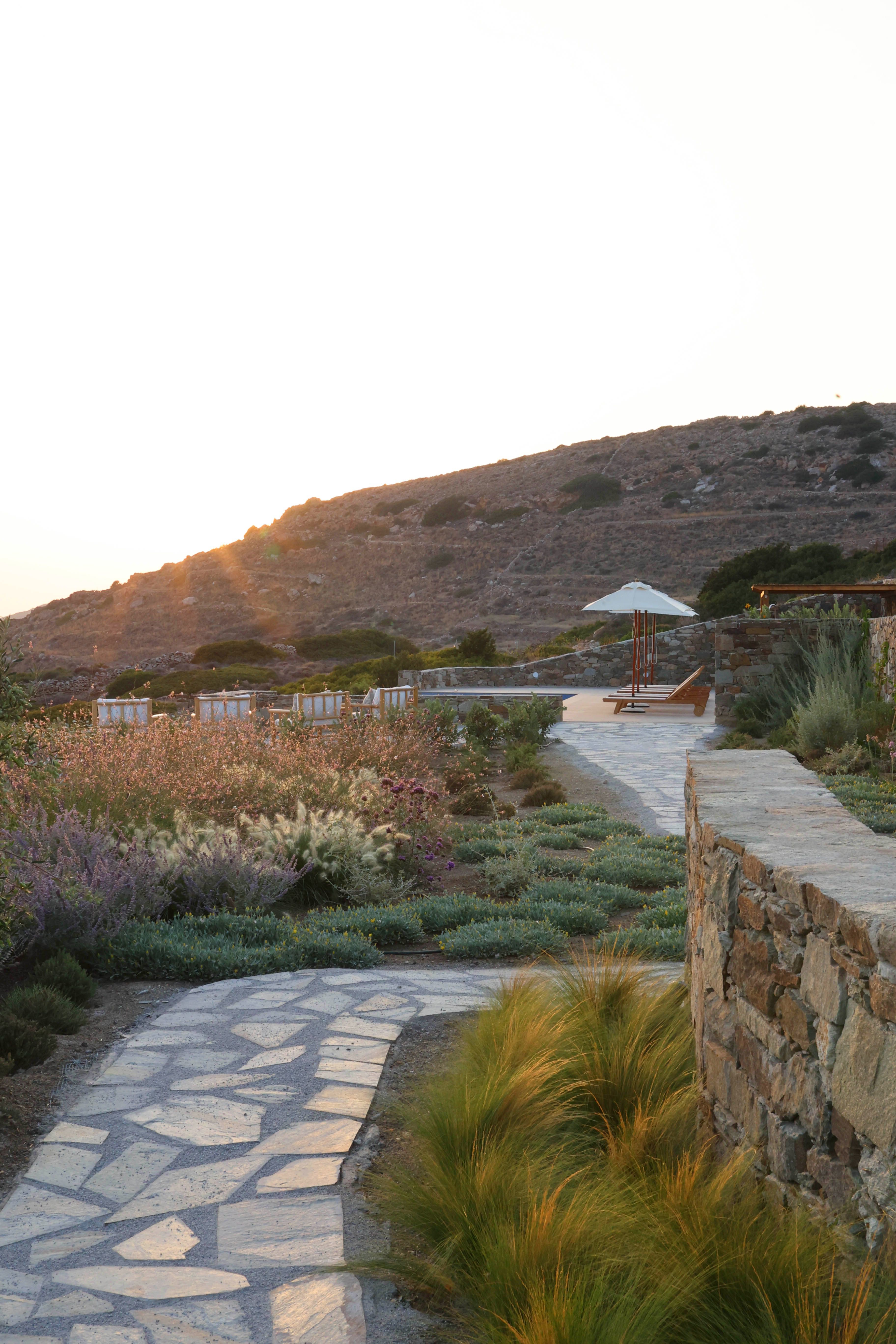 Garden 4